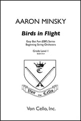 Birds in Flight Orchestra sheet music cover